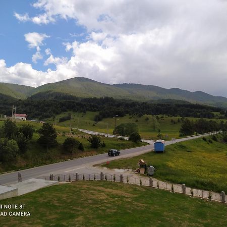 Вили Елеганс Сърница Sarnitsa Quarto foto